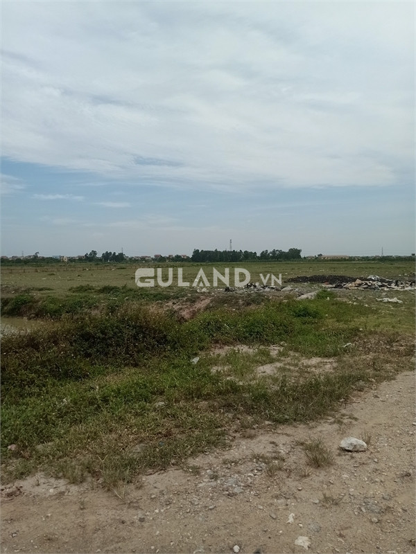 Bán 50ha đất kho nhà xưởng 50 năm tại Huyện Triệu Sơn, Tỉnh Thanh Hóa