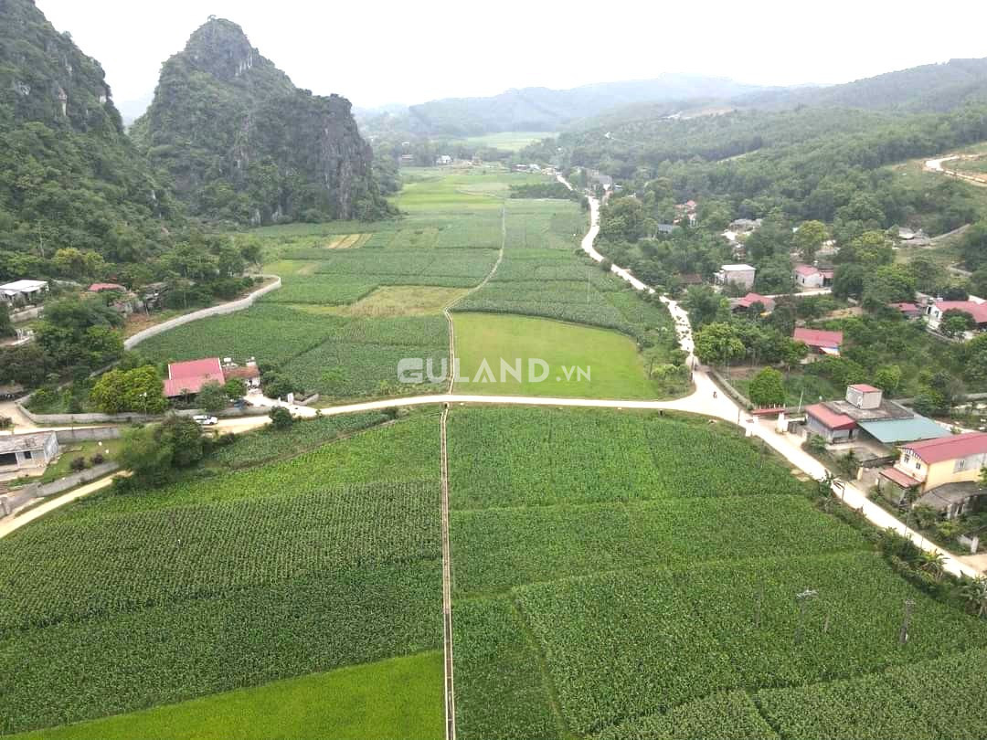 Bán lô đất 5914m2 - 1500m2 ONT, tại Cao Dương, Lương Sơn, Hoà Bình.