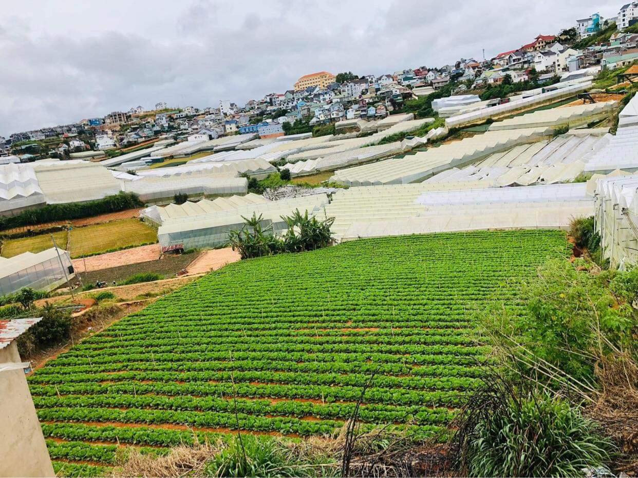 Bán  đất nông nghiệp 1120m² , giá 19 tỷ tại, Phường 7, Thành phố Đà Lạt, Lâm Đồng